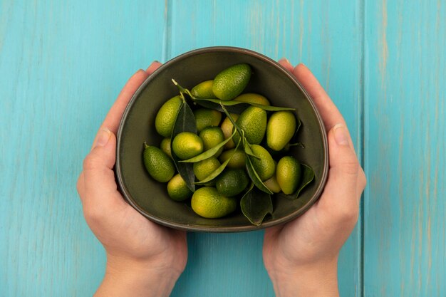 Top view of female hands holding a bowl of fresh kinkans on a blue wooden surface