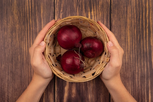 Top view of female hands holding a bowl of healthy red onions on a wooden wall