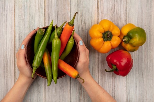 Top view of female hands holding a bowl of peppers with bell peppers isolated on a grey wooden surface