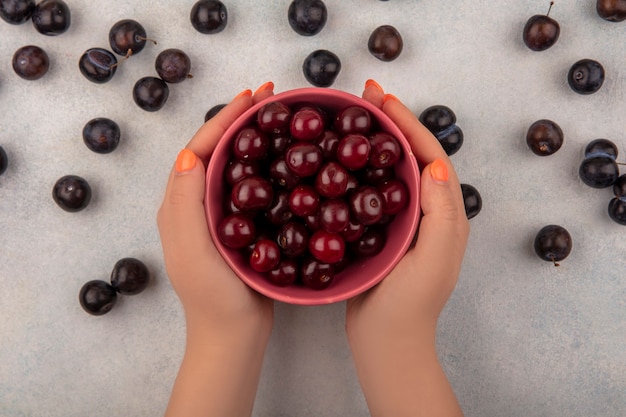 Top view of female hands holding a bowl with red cherries with sloes isolated on a white background