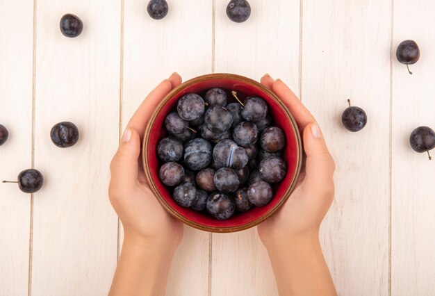 Top view of female hands holding a bowl with the small sour blue-black fruit sloes on a white wooden background