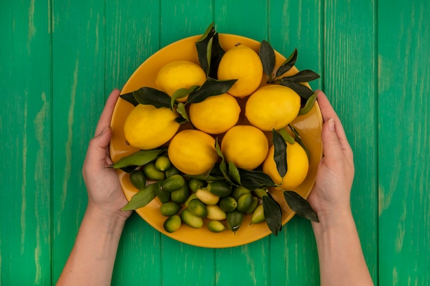 緑の木製の壁にレモンやキンカンなどの新鮮な果物のバケツを保持している女性の手の上面図