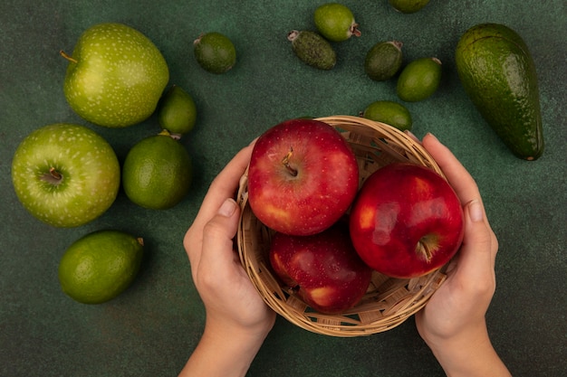 Top view of female hands holding a bucket of fresh red apples with limes, feijoas and green apples isolated on a green surface