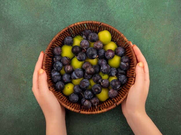 Top view of female hands holding a bucket with dark purple sloes with green cherry plums on a green background