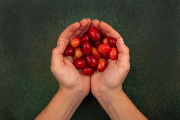 Top view of female hands holding pale red sour cornelian cherries on a green surface
