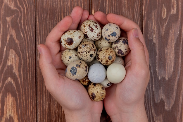 Free photo top view of female hands holding quail eggs with cream-colored shells on a wooden background