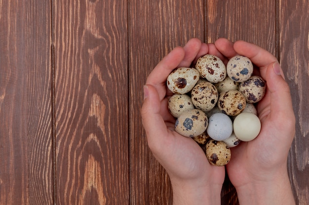 Free photo top view of female hands holding small quail eggs on a wooden background with copy space