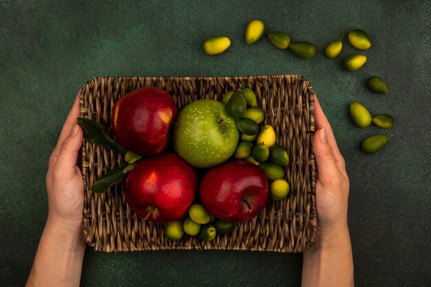 Top view of female hands holding a wicker tray of fresh apples with kinkans isolated on a green wall