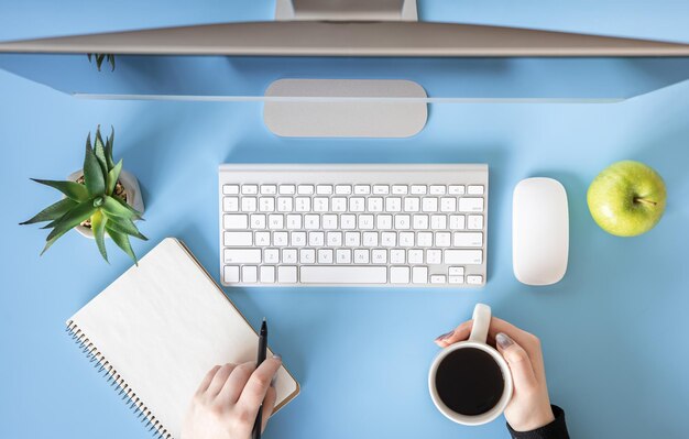 top view female hands work at the computer blue background