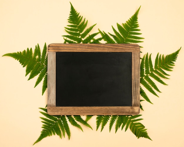 Top view of fern leaves with chalkboard