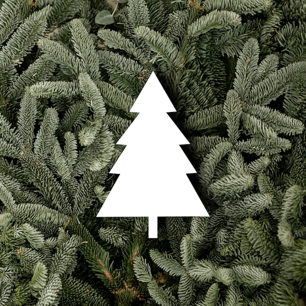 Free photo top view fir tree shape and twigs