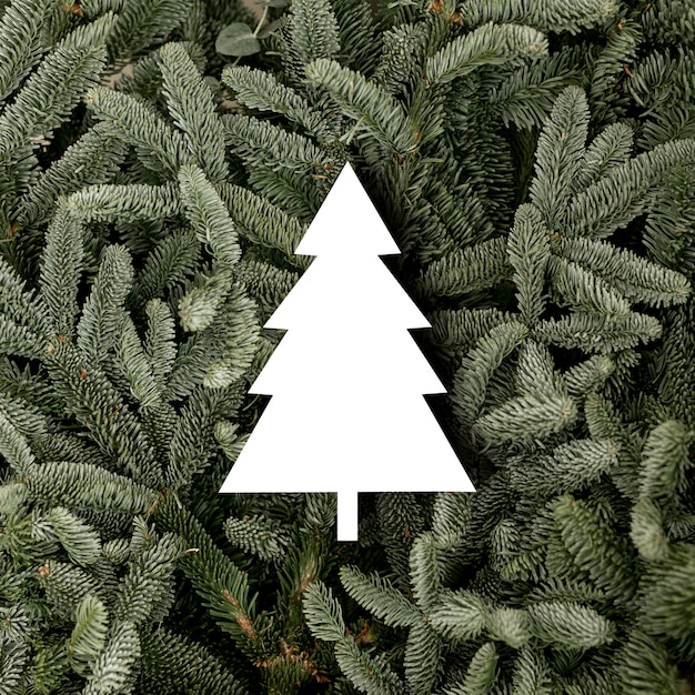 Top view fir tree shape and twigs