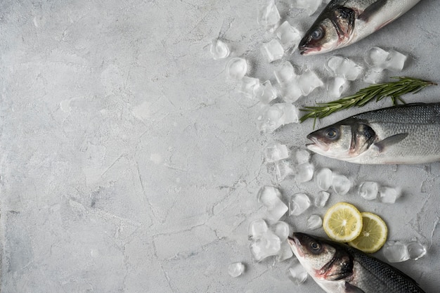 Free photo top view fish arrangement with ice