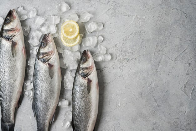 Top view fish frame with ice and lemon