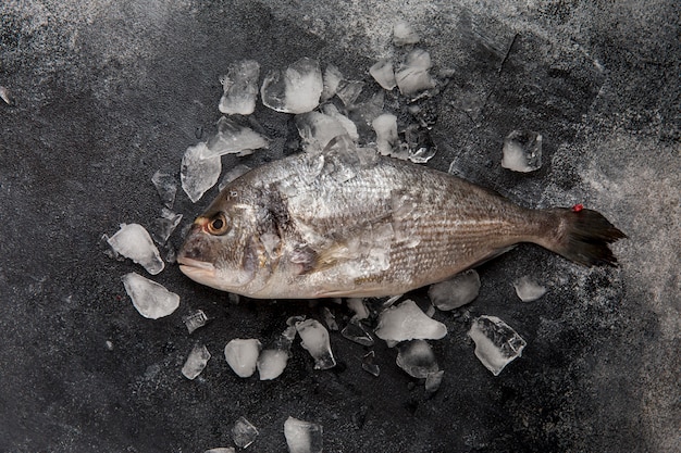 Вид сверху рыба на льду