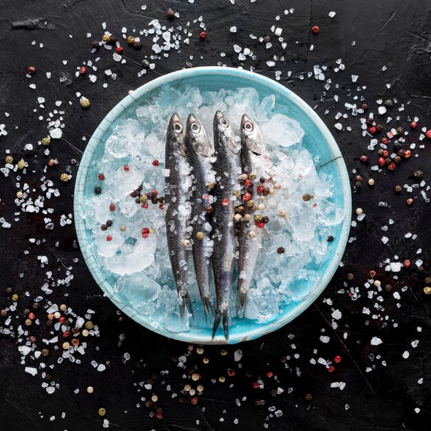 Top view of fish on plate with ice and spices