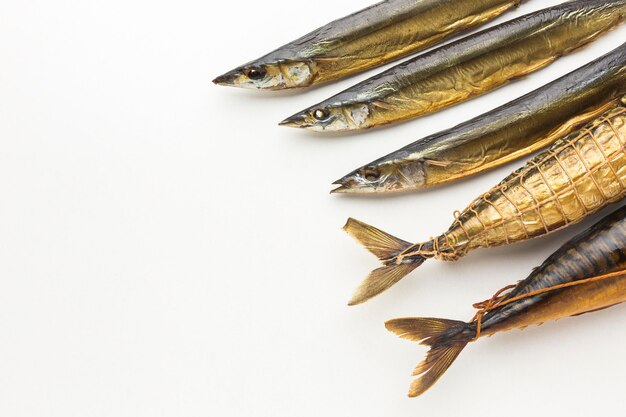 Top view fishes on white background