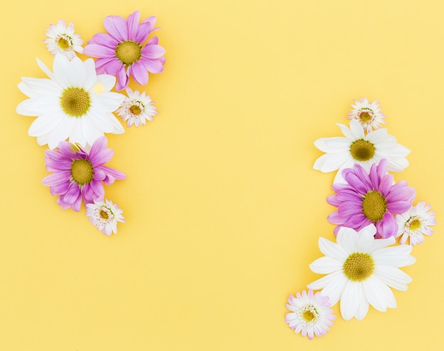 Free photo top view floral frame with yellow background