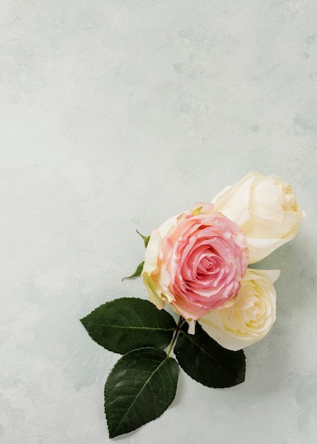 Top view floral ornament