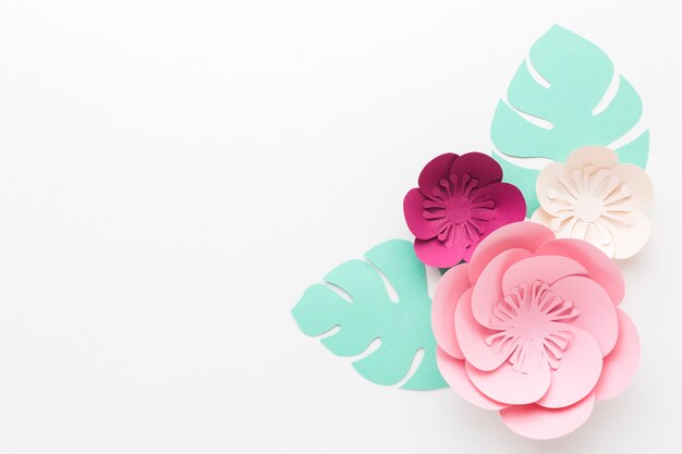 Top view floral paper decoration