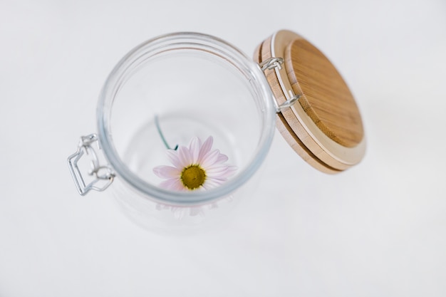 Top view of flower in glass