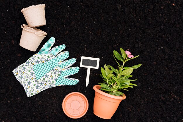 Top view flower pot on soil background