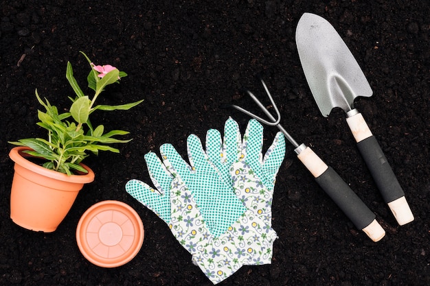 Top view flower pot and tools on soil background