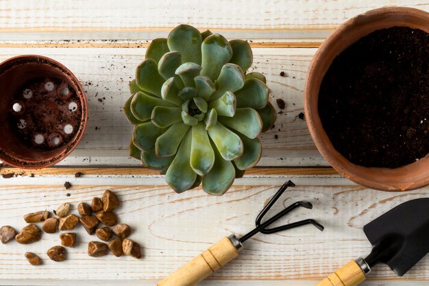 Top view flower pots and tools