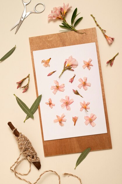 top view flower press technique still life