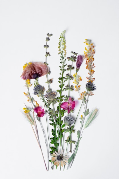 Top view flower press with white background