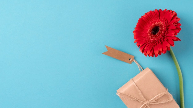 Top view of flower with gift and tag