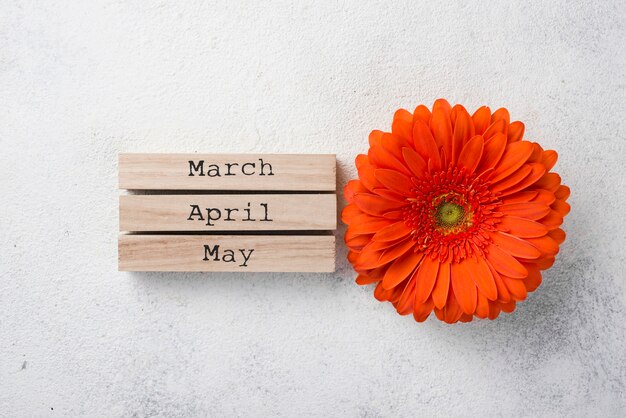 Top view flower with spring months tags
