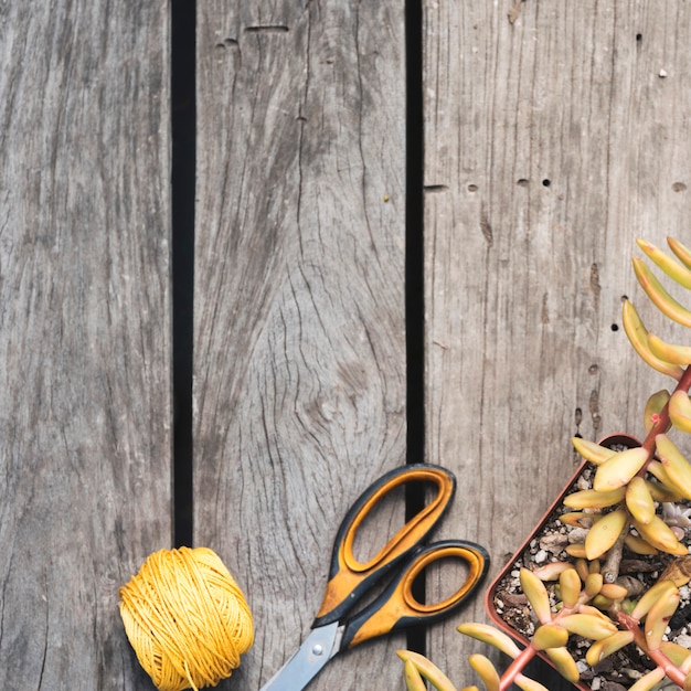 Top view flowerpot with gardening tools