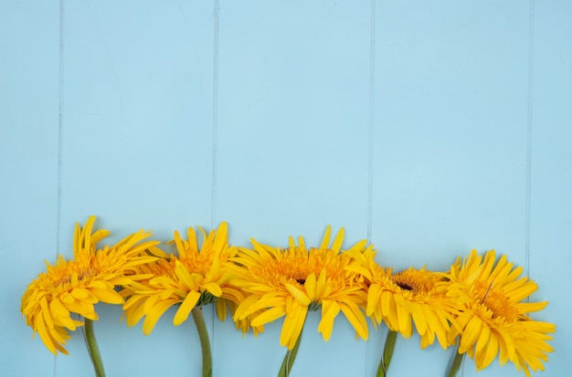 Free photo top view of flowers on blue with copy space