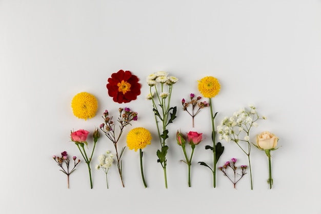 無料写真 テーブルの上のビューの花のコレクション