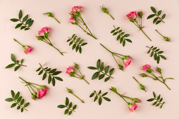 Top view flowers collection on table