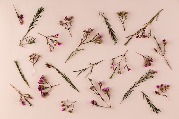 Top view flowers collection on table