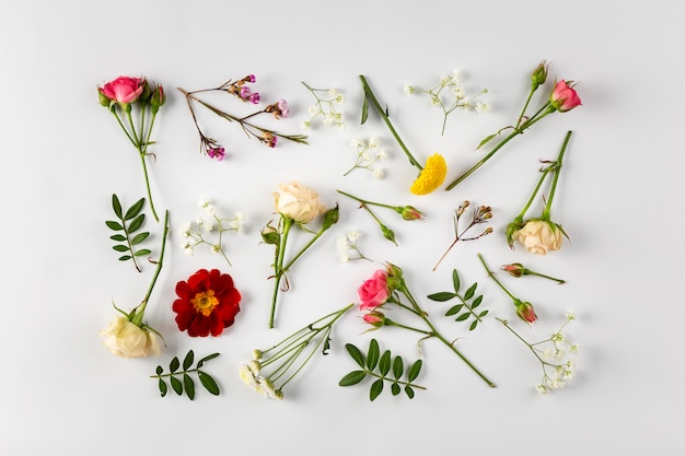 Foto gratuita collezione di fiori vista dall'alto