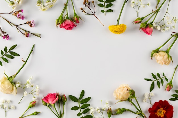 Foto gratuita collezione di fiori vista dall'alto