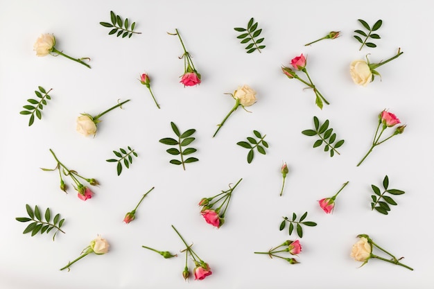 Foto gratuita collezione di fiori vista dall'alto