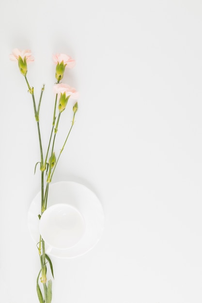 Top view flowers and cup