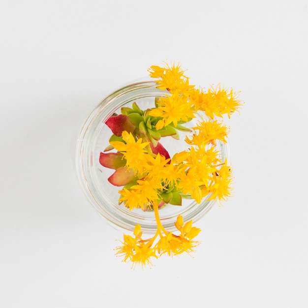 Top view flowers in glass vase