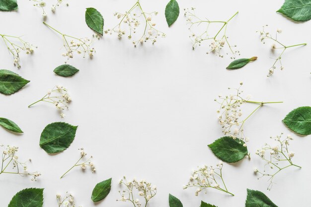 Top view of flowers and leaves