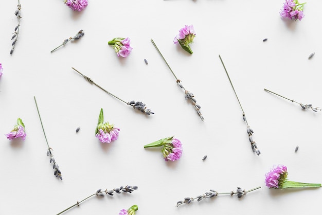 Top view of flowers and leaves