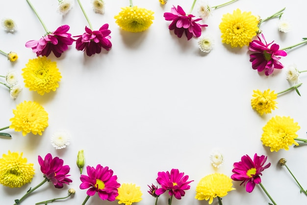 Foto gratuita vista dall'alto di fiori e foglie