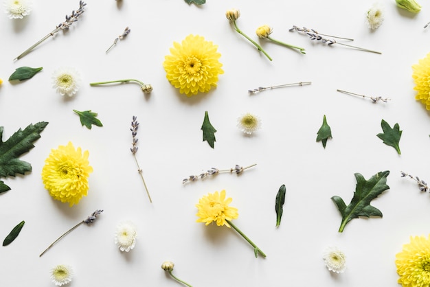 Free photo top view of flowers and leaves