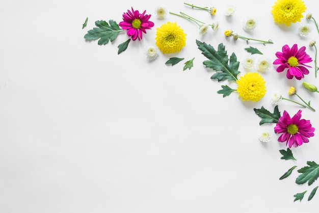 Top view of flowers and leaves