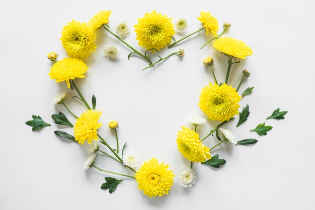 Top view of flowers and leaves