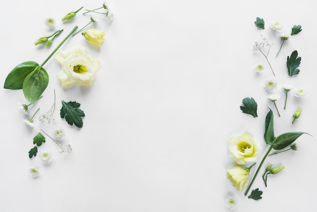 Top view of flowers and leaves