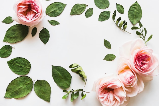 Free photo top view of flowers and leaves